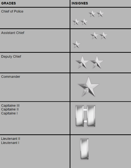 Insignes command staff & direction — barres & étoiles