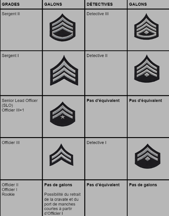 Insignes terrain & investigation — chevrons